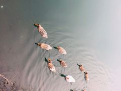 -帐篷客·溪龙茶谷度假酒店