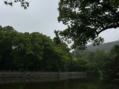 -阿育王寺素斋馆