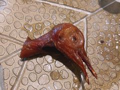 -蝴蝶里·粤菜·点心(龙湖天街&滨江店)
