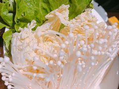 -樊城区沛公餐饮店(挑食拉美步行街店)