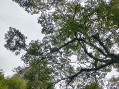 -桂林独秀峰王城景区