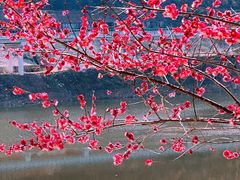 -新安江山水画廊风景区