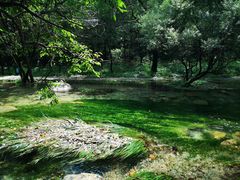 -玉渡山自然风景区