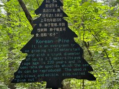 -五营国家森林公园