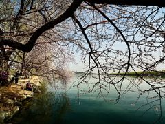 -颐和园