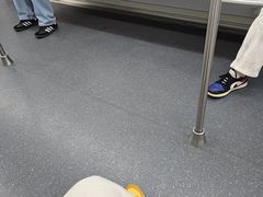 -临平南高铁站(地铁站)