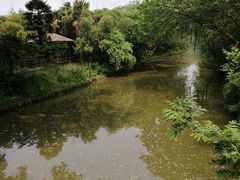 -同里国家湿地公园