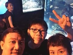 -暹罗海洋世界