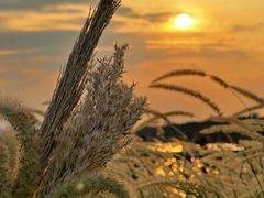 -南沙十九涌渔人码头-南门