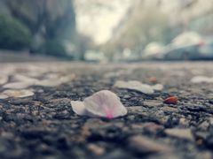 -南京工程学院(江宁校区)