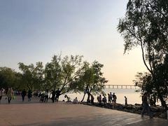 -宝安西湾红树林湿地公园