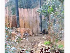-红山森林动物园