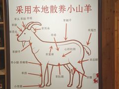 -老村长大锅炖羊肉(榆林大道店)