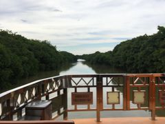 -大湾区中央湿地公园