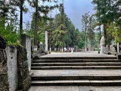 -彩色沙林风景区