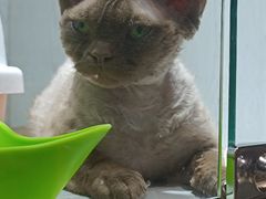 -乐宠宠物店(世纪金源店)