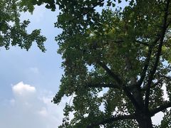 -苏州市立医院本部母子保健中心