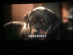 -博纳国际影城(铜锣湾激光巨幕杜比店)