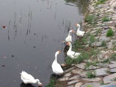 -北京天湖会议中心