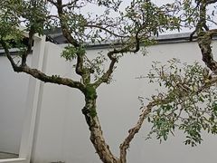 -成都院坝精品私汤民宿酒店