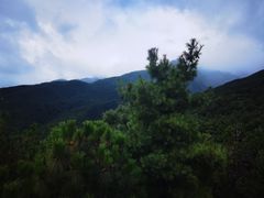-苍山感通索道