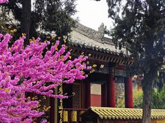 -西安市广仁寺