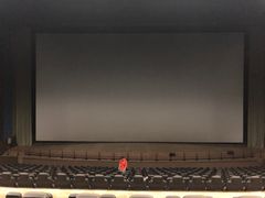 -天幕新彩云国际影城(激光巨幕店)