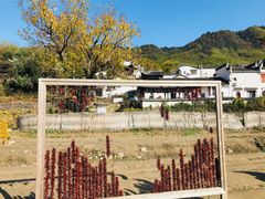 -塔川景区