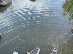 -厦门悦华酒店