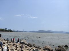 -深圳湾公园(南山区)