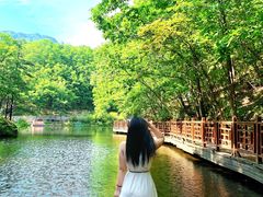 -洛阳白云山景区