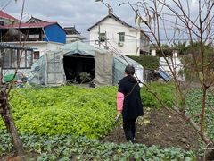 -小鱼草莓采摘园农家乐·小鱼餐厅