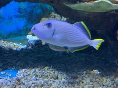 -多彩贵州城极地海洋世界