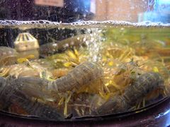 -陶陶居海鲜酒家(新马路店)