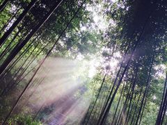 -杭州双溪漂流景区
