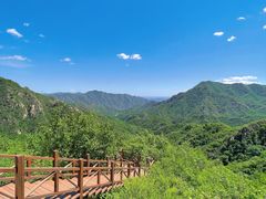 -大岭沟猕猴桃谷风景区
