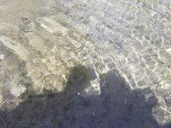 -云岗森林公园