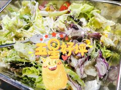 蔬菜沙拉-小牛哈尼章鱼水煎肉(金鹰店)