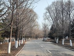 -长白岛森林公园