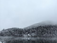 -庐山风景区花径公园