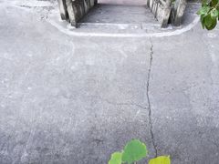-云碧峰国家森林公园