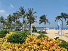 -大梅沙海滨公园