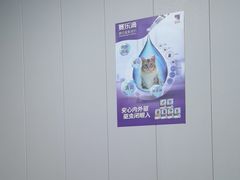 -半岛宠物医院24小时(科华中路店)