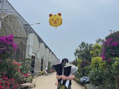 -三圣花乡旅游区