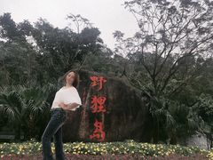 -野狸岛