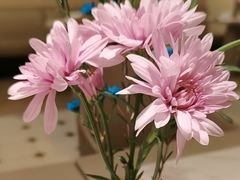 -荷花亭·湖北融合菜(中商广场店)