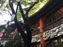 -醉云喃