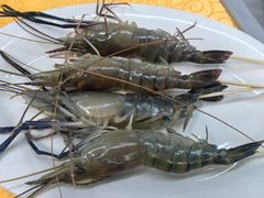 -濠轩阁特色生蚝火锅(水湾路店)