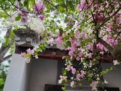 -深圳国际园林花卉博览园