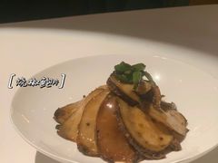 -西郊5号·Maggie 5